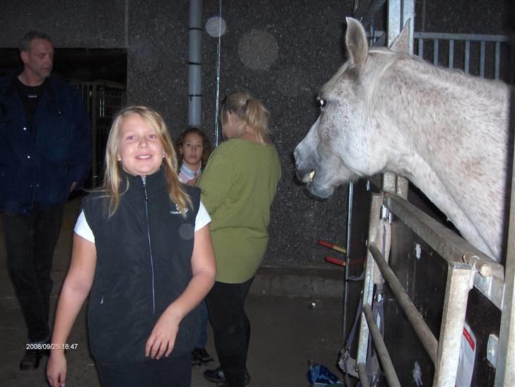Anden særlig race /Araber Ghenoa (I himlen) - Så skal du da lige se hvad de snakker om he he  billede 5