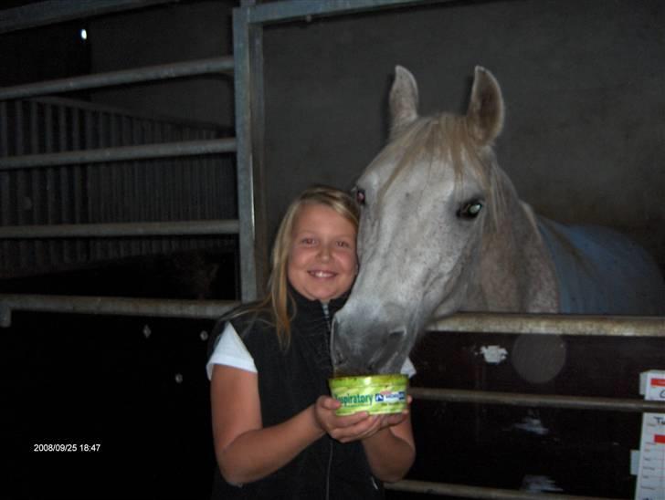 Anden særlig race /Araber Ghenoa (I himlen) - Så så` er det lakrids tid Tøsen :p billede 7