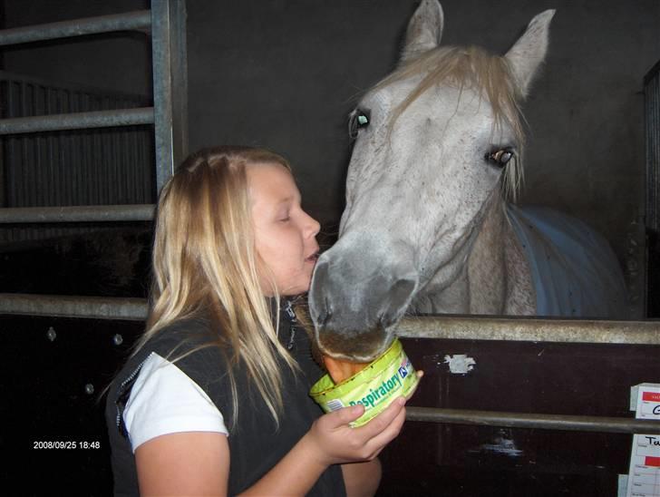 Anden særlig race /Araber Ghenoa (I himlen) - Ja så tager man da bare det man kan få hi hi. :D billede 8