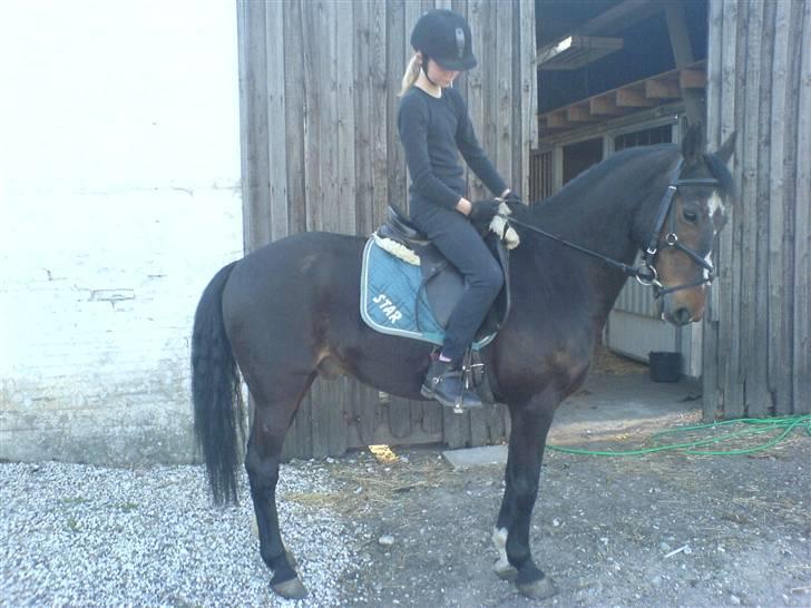 DSP *Star R.I.P * - se hvor fint jeg kan stå XD billede 12