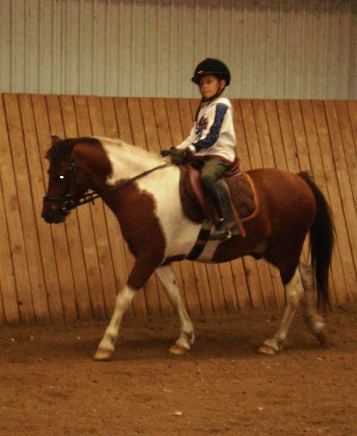 Anden særlig race Jumpy *SOLGT* billede 1