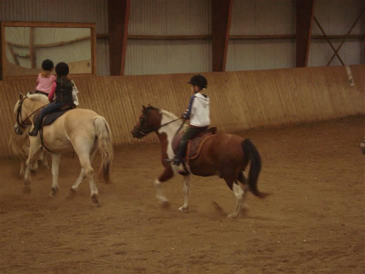 Anden særlig race Jumpy *SOLGT* billede 2