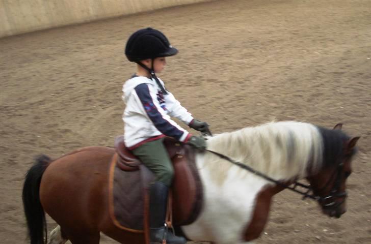 Anden særlig race Jumpy *SOLGT* billede 4