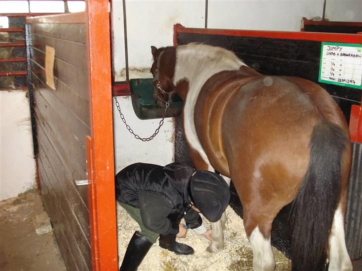 Anden særlig race Jumpy *SOLGT* billede 5