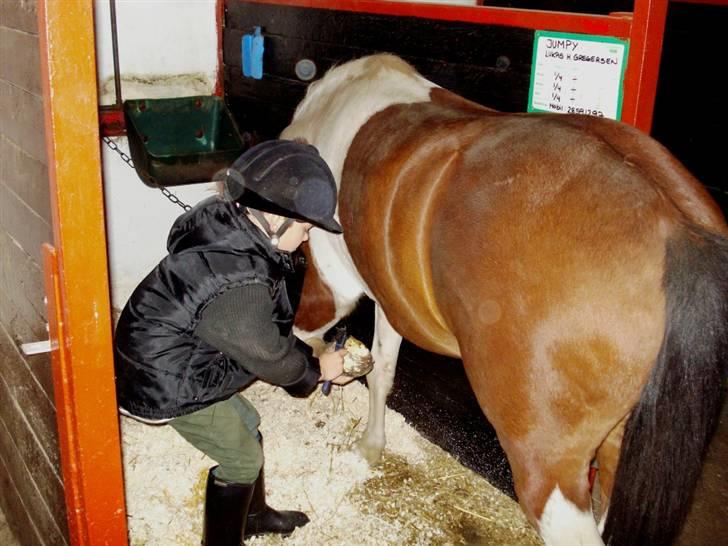 Anden særlig race Jumpy *SOLGT* billede 6