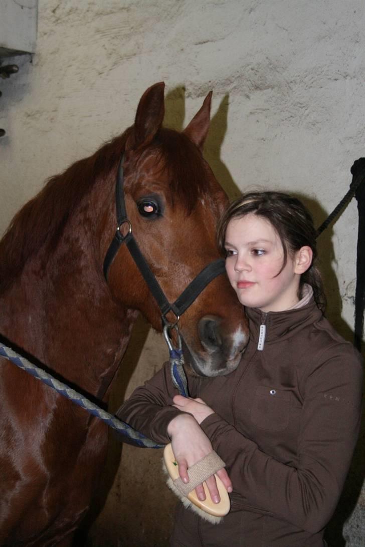 DSP Golden Empire - Du er min drømmeprins billede 20