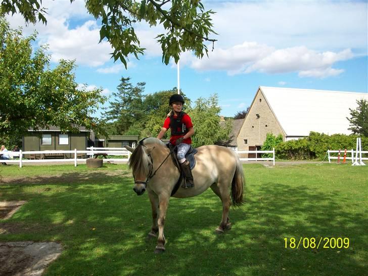 Fjordhest Freja (har redet) ;-( - velkommen til Freja´s profil, smid lige en bedømmelse og komentar inder du går XD billede 1