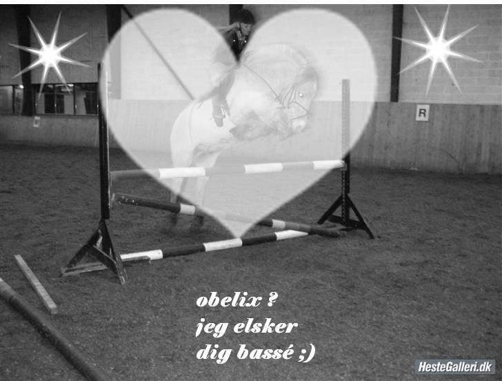 Fjordhest Obelix *SOLGT* - Sandra har lavet billed af den skønne! billede 17