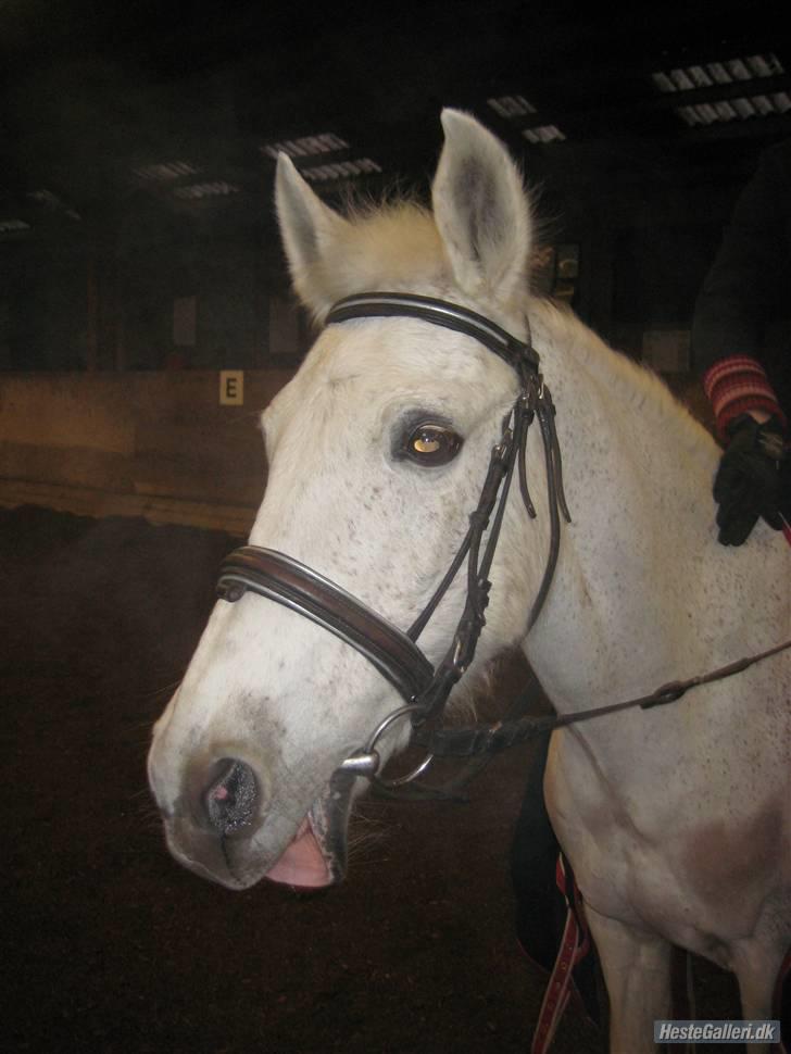 Anden særlig race julle  billede 1