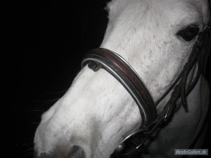 Anden særlig race julle  billede 2