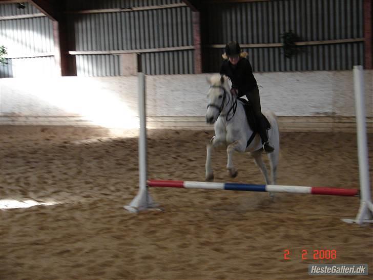 Anden særlig race julle  - line der springer lidt på julle:) billede 6