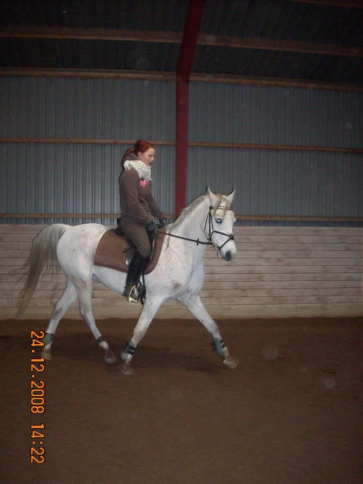 Sportsaraber (A) Cliff Galivant  billede 1