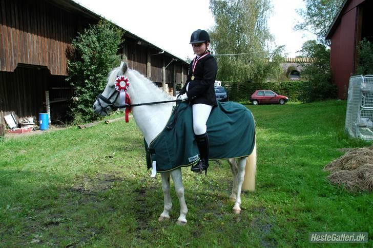 Anden særlig race Perle **Gamle Part** - Nr. 3 billede 3