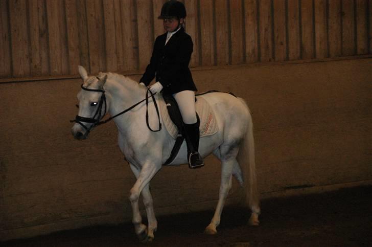 Anden særlig race Perle **Gamle Part** - Nr. 4 billede 4