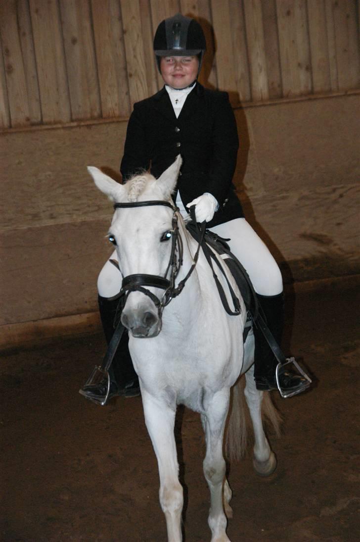 Anden særlig race Perle **Gamle Part** - Nr. 5 billede 5