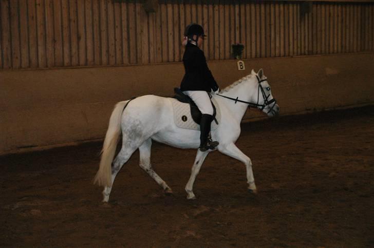 Anden særlig race Perle **Gamle Part** - Nr.6 billede 6