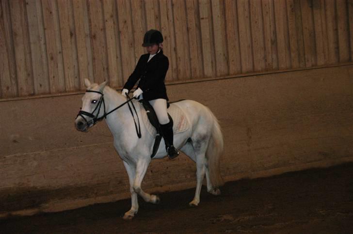 Anden særlig race Perle **Gamle Part** - Nr. 7 billede 7