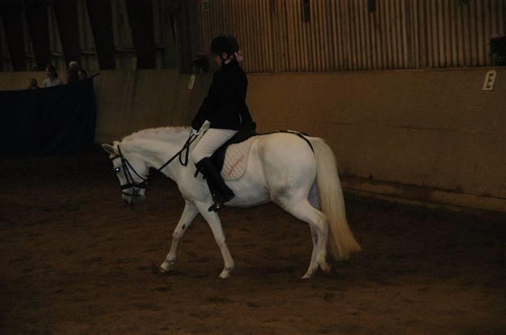 Anden særlig race Perle **Gamle Part** - Nr. 8 billede 8