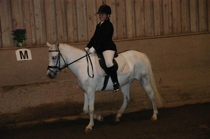 Anden særlig race Perle **Gamle Part** - Nr. 9 billede 9