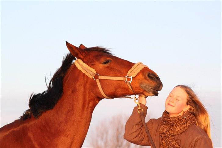 Anden særlig race Flicka  - Billede 14: At blive pustet i hovedet af sin skønherlige hypper :) billede 14