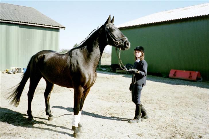 Fuldblod (XX) Rebus *RIP* - Velkommen til Rebus´ Profil (: billede 1