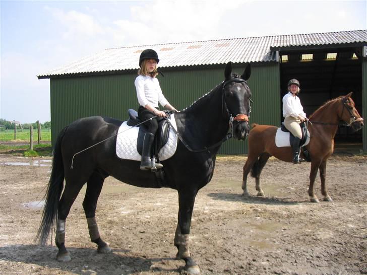 Fuldblod (XX) Rebus *RIP* - Mig som 8 årig på Rebus (: billede 3