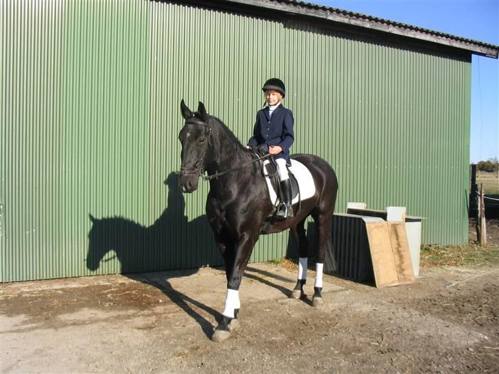 Fuldblod (XX) Rebus *RIP* billede 7