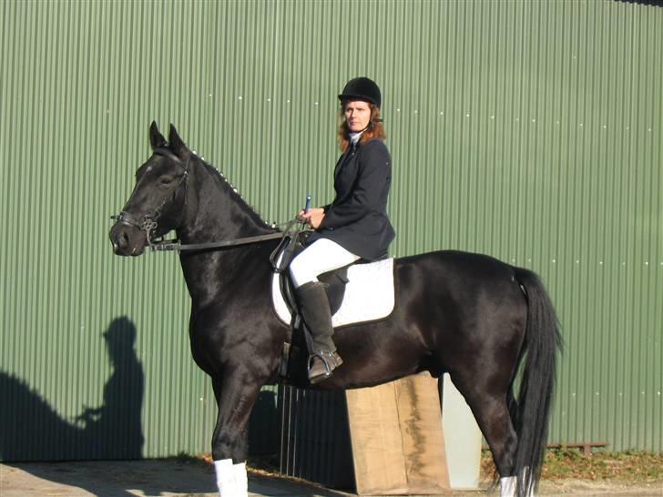 Fuldblod (XX) Rebus *RIP* billede 10