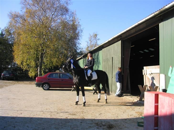 Fuldblod (XX) Rebus *RIP* billede 11