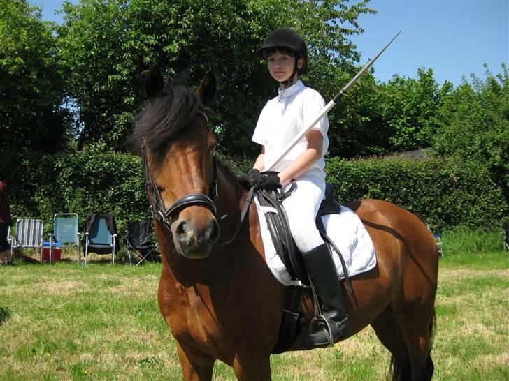 Anden særlig race Prince Charming  (solgt )  - (20) Ringridning i svenstrup ( billed taget af min mor ) billede 15