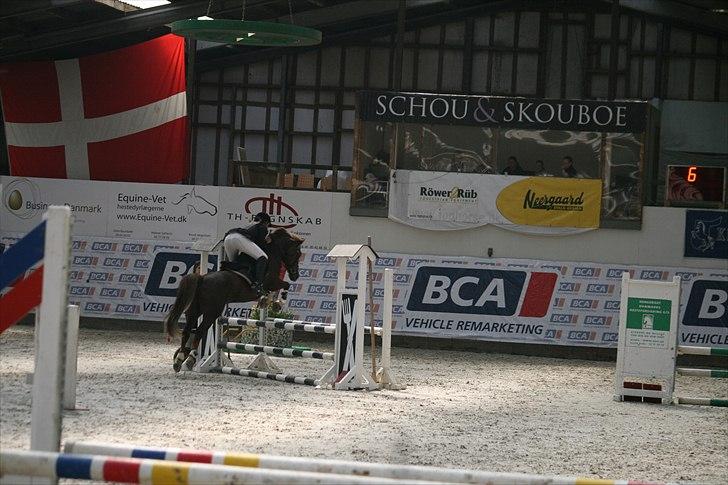 Anden særlig race Donjuan Solgt:/ - 2. Monica og dj lb**<3 billede 2