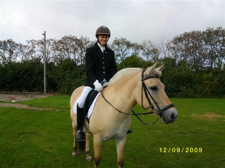 Fjordhest Bianka Kongehøj  - inden vi skal ind og springe=) billede 19