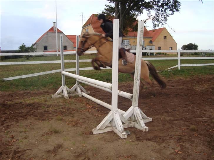 Anden særlig race Kikki - SOLGT :`/   - Efterår 2008.  billede 19