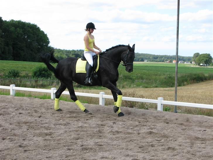 Hannoveraner Ruby ¤ R.I.P ¤ - Ruby <3 :D billede 11