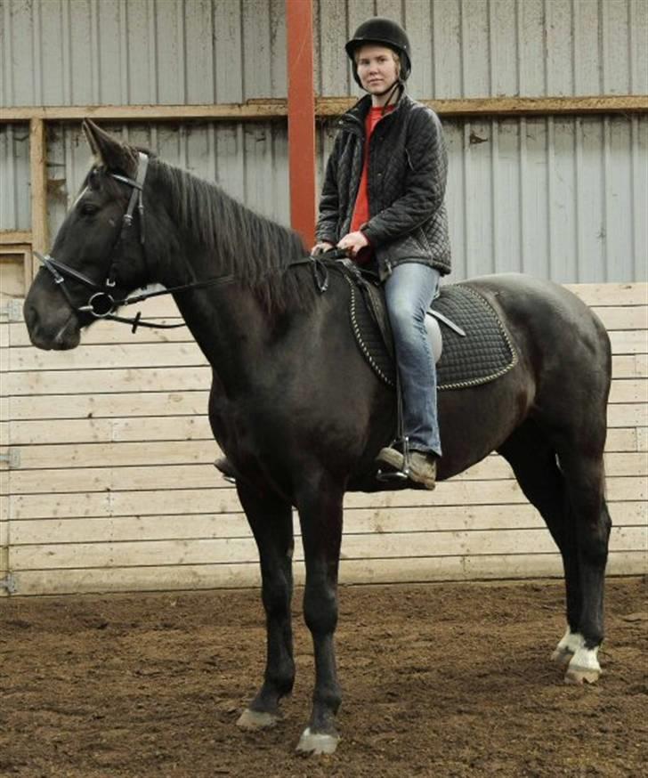 Anden særlig race Ulla (Lotus Noir) *SOLGT* billede 19