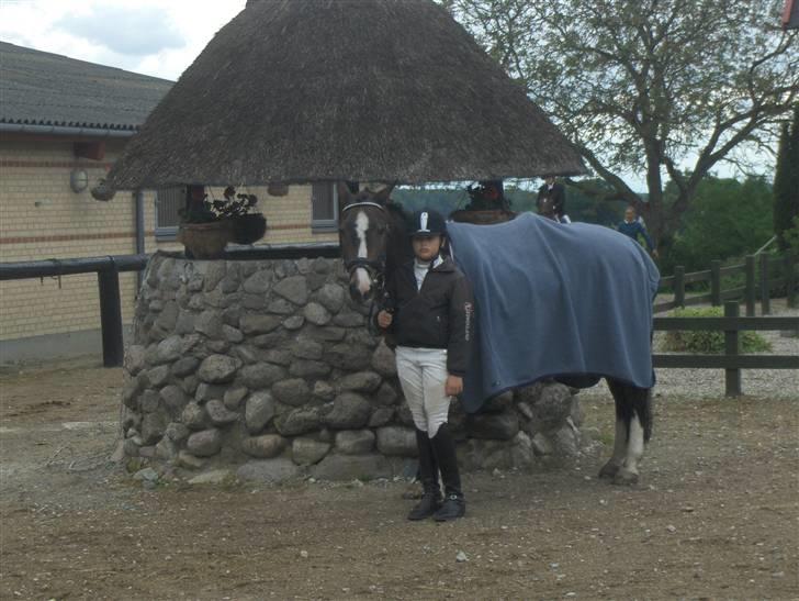 DSP Ringo   Død d. ( 10/9-14) - Hej og velkommen til Ringos profil. billede 1