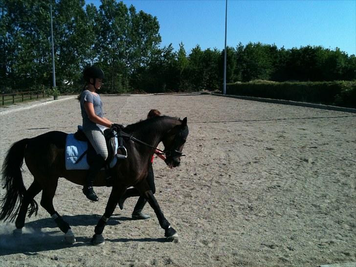 DSP Ringo   Død d. ( 10/9-14) - Ringo & Julie billede 2