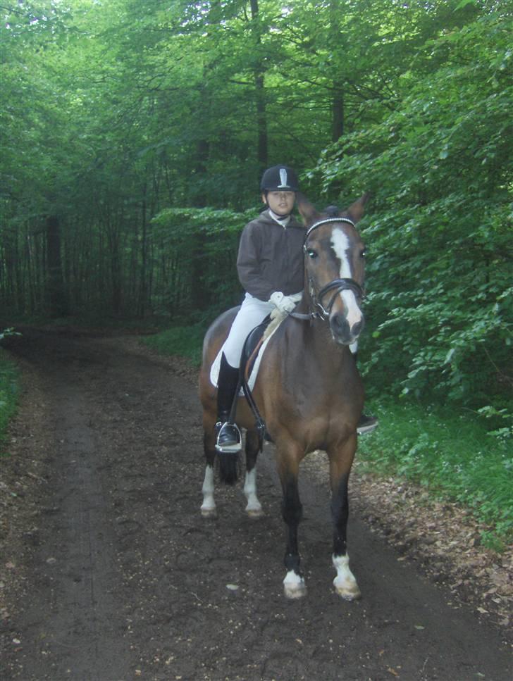 DSP Ringo   Død d. ( 10/9-14) - Julie og Ringo i skoven billede 3