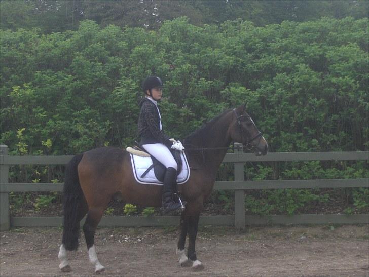 DSP Ringo   Død d. ( 10/9-14) - MSR billede 4