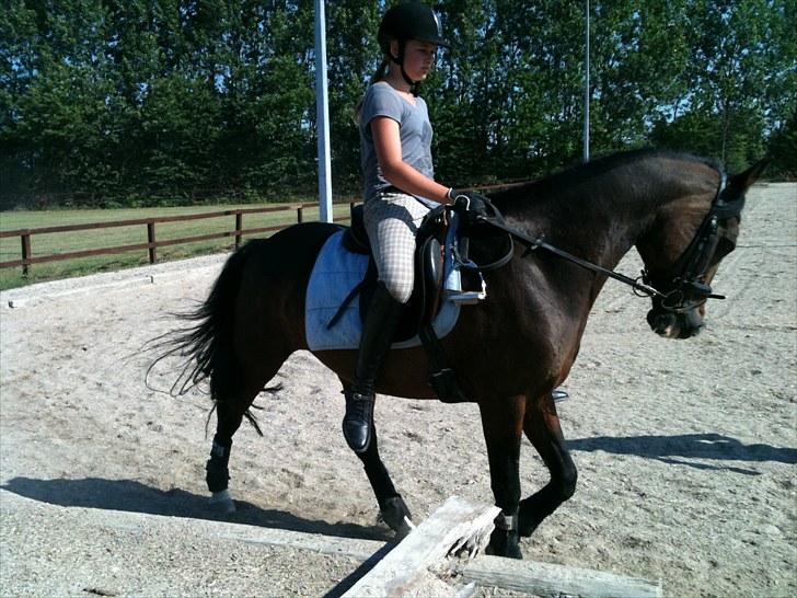 DSP Ringo   Død d. ( 10/9-14) - 20. Juli 2010 billede 8