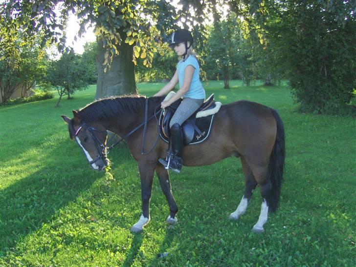 DSP Ringo   Død d. ( 10/9-14) - En af de første rideturer på Ringo billede 9