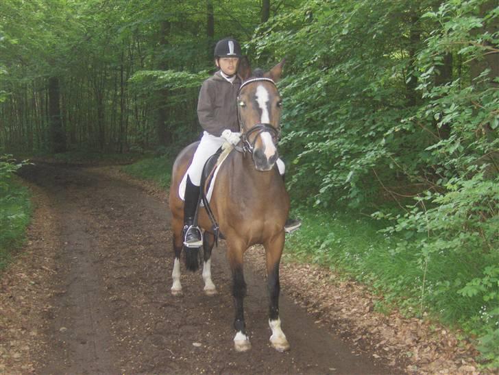 DSP Ringo   Død d. ( 10/9-14) - Julie og Ringo i Jonstrupskoven billede 10