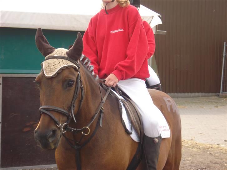 Anden særlig race Sindy  - gammel part  - Landsfinalerne I Ponygames, Vilhelmsborg 2007. Vores hold vandt. billede 7