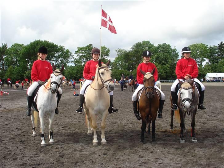 Anden særlig race Sindy  - gammel part  - VINDERHOLDET I PONYGAMES 2007 - Vilhelmsborg. Fra Venstre - Lærke og Con´A´more, Jennie og Skipper, Mig og Sindy, Anita og Linette. billede 10