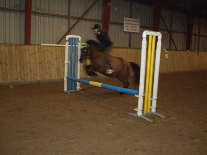 Anden særlig race Sindy  - gammel part  - Da jeg red sindy, efter jeg var stoppet som part på hende. Skønt at ride hyppen igen, og se hvor fint vi springer :´)  billede 13