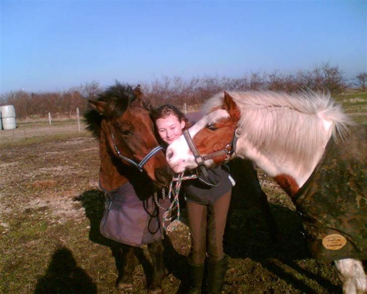 Anden særlig race Sindy  - gammel part  - Sindy og Candy <3. billede 15