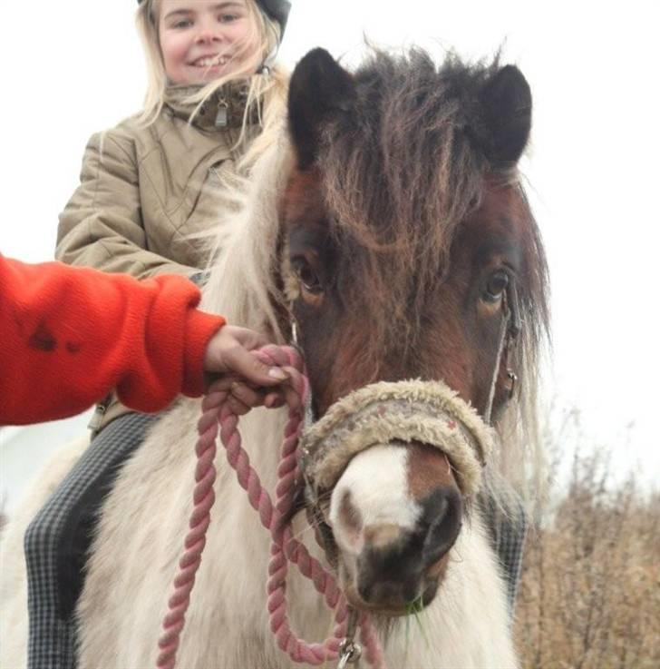Anden særlig race Indie **HIMMELHEST** - Nicoline´s første tur efter Indie kom hjem  billede 18