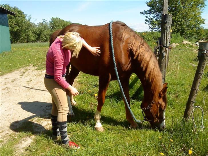 Anden særlig race Frk.Smila - fordi jeg elsker di!! (foto maria) nr.13 billede 12
