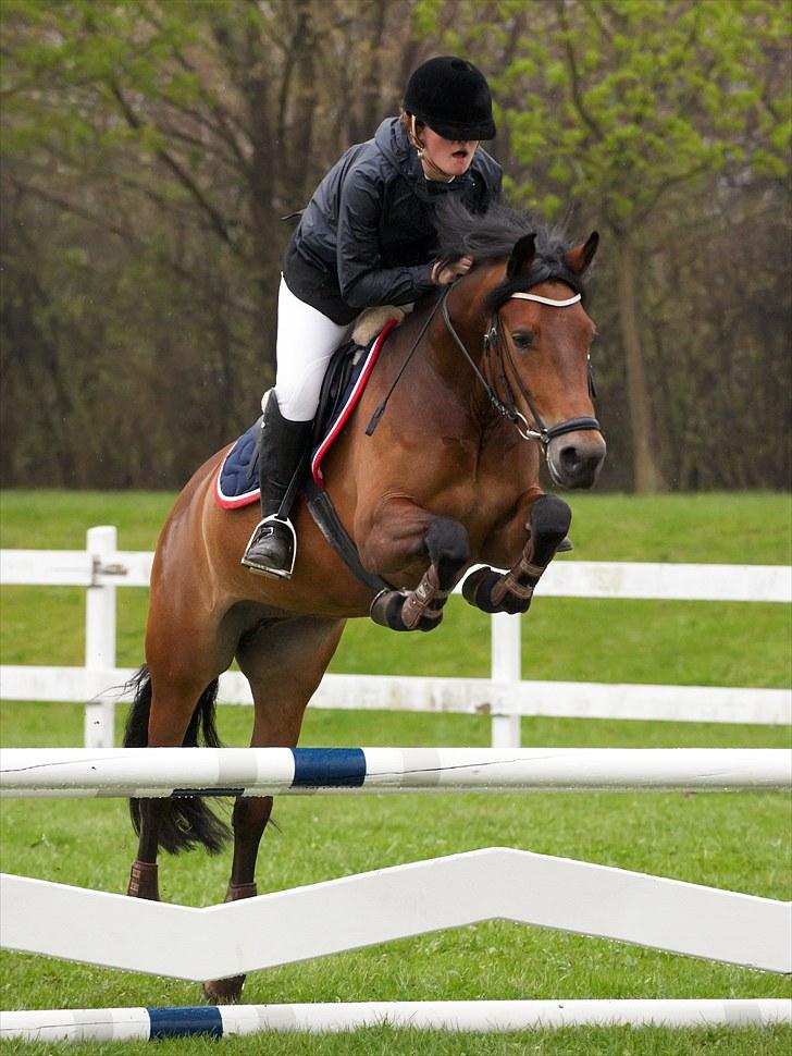 New Forest A Million - 1. Mille og alex springer :-)  foto: Animal-print billede 1