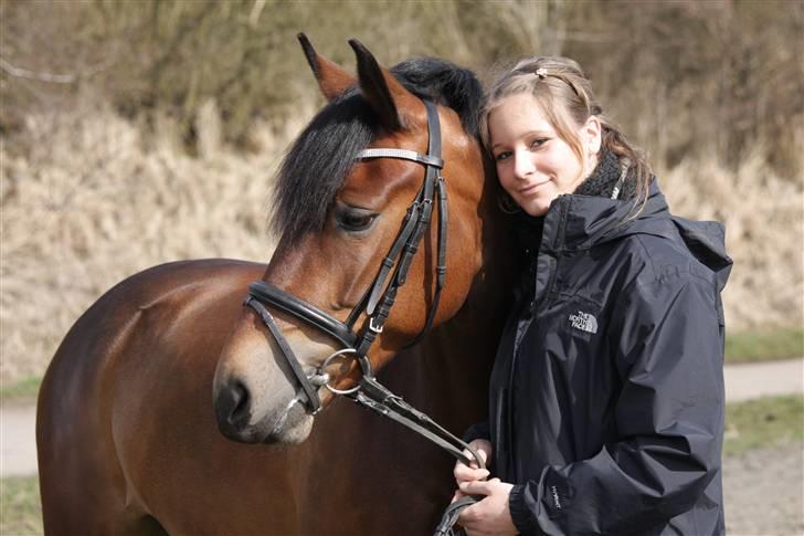 New Forest A Million - 4. os :) Foto: crillo billede 4